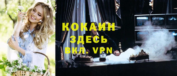 индика Долгопрудный