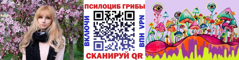 купить   Лесозаводск  Псилоцибиновые грибы Psilocybe 