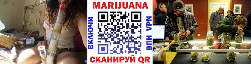 Конопля гибрид Лесозаводск